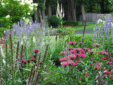 9 Gorgeous Plant Combos for Summer Gardens (12 photos)